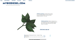 Desktop Screenshot of mybiodiesel.com